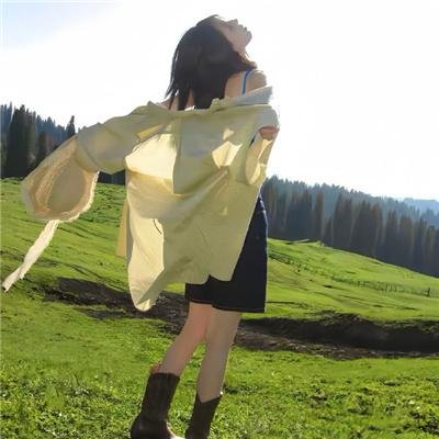 山海情封面
